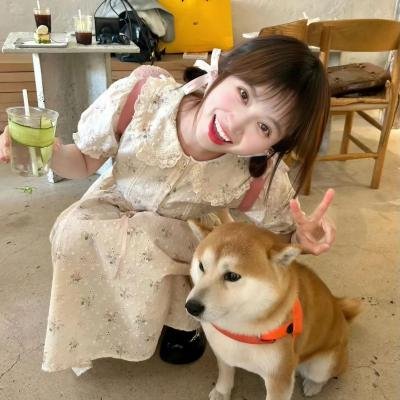候鸟之爱